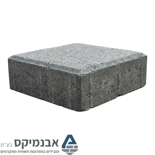 אפור1010 אבן משתלבת 10X10